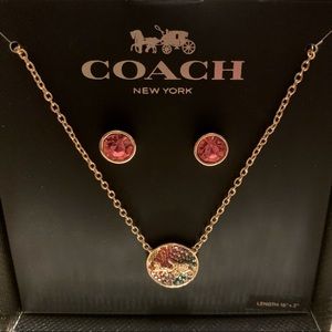 COACH Horse Carriage Crystal Necklace and Stud Earrings Box Set